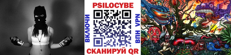 Псилоцибиновые грибы Psilocybine cubensis  Новоалександровск 